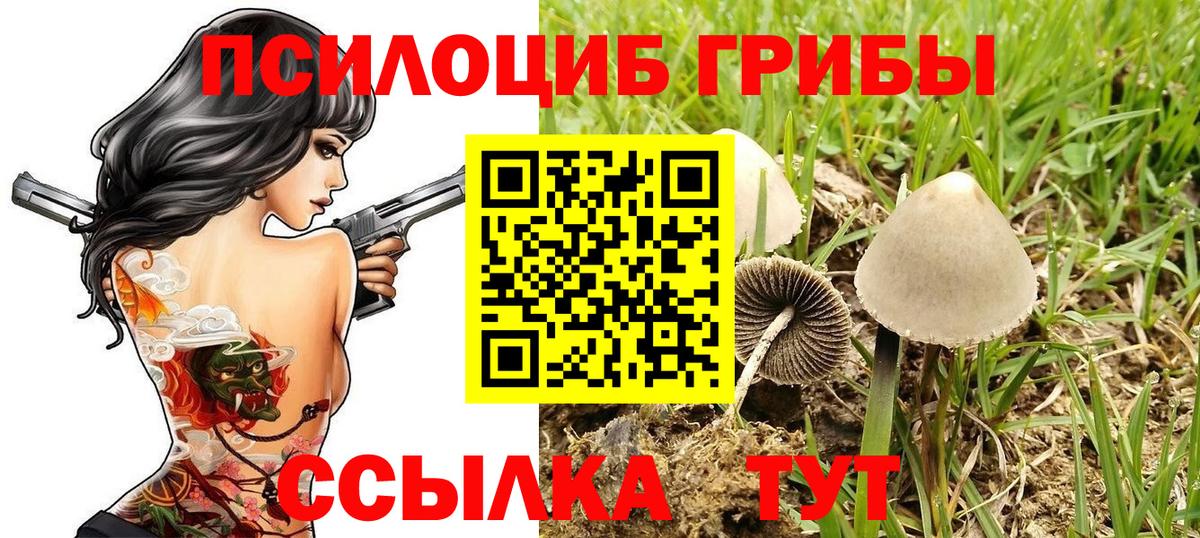 Псилоцибиновые грибы мицелий Асбест
