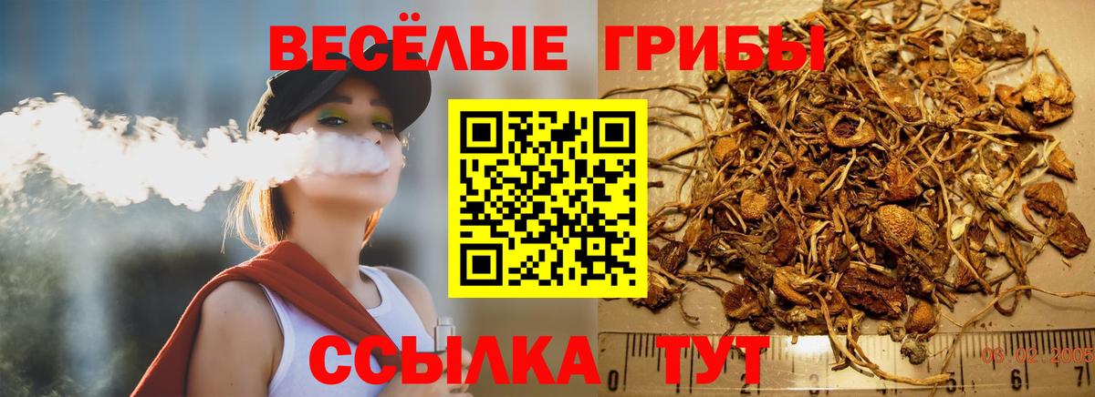 Асбест  Псилоцибиновые грибы MAGIC MUSHROOMS  Вход с VPN 
